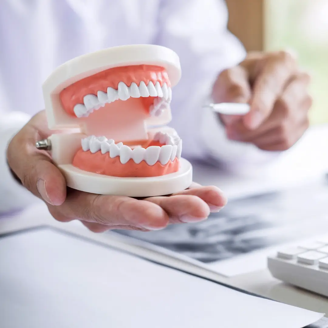 Saiba Mais sobre a Oral Brind